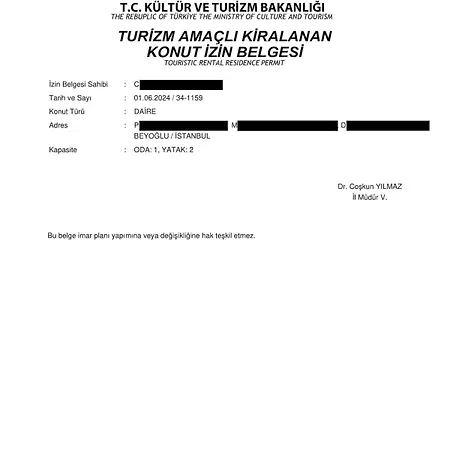 Elegant & Charming In Beyoglu 伊斯坦布尔